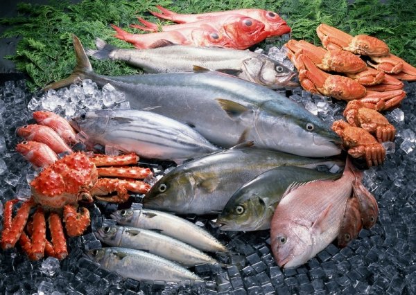 ou reserver un restaurant de poissons et fruits de mer proche Honfleur 14