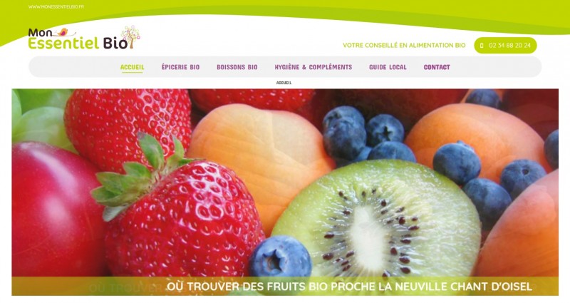 création de site internet breveté avec référencement naturel Rouen 76